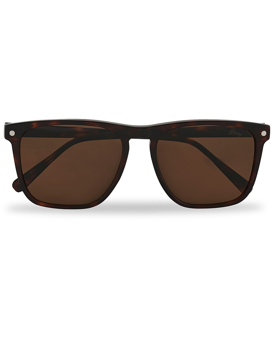 Herr | | Brioni | BR0086S Sunglasses Havana/Brown