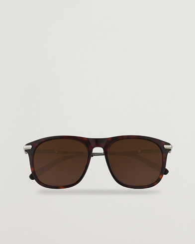 Herr | Pilotsolglasögon | Brioni | BR0094S Sunglasses Havana Brown