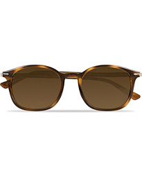  0PO3182S Polarized Sunglasses Havana