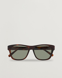  BR0081S Sunglasses Havana/Green