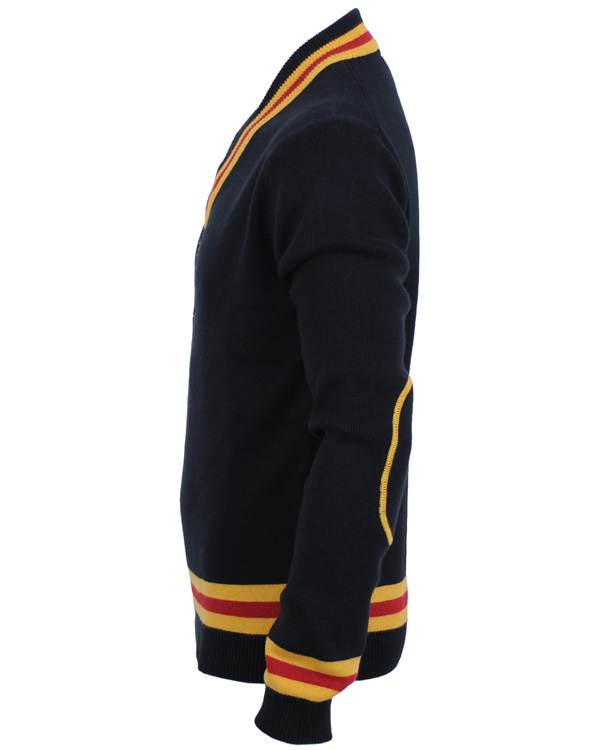 Herr | Tröjor | Morris | Cricket embo V-neck Navy