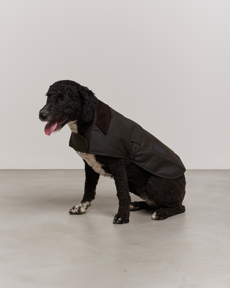 Herr |  | Barbour Lifestyle | Classic Wax Dog Coat Olive