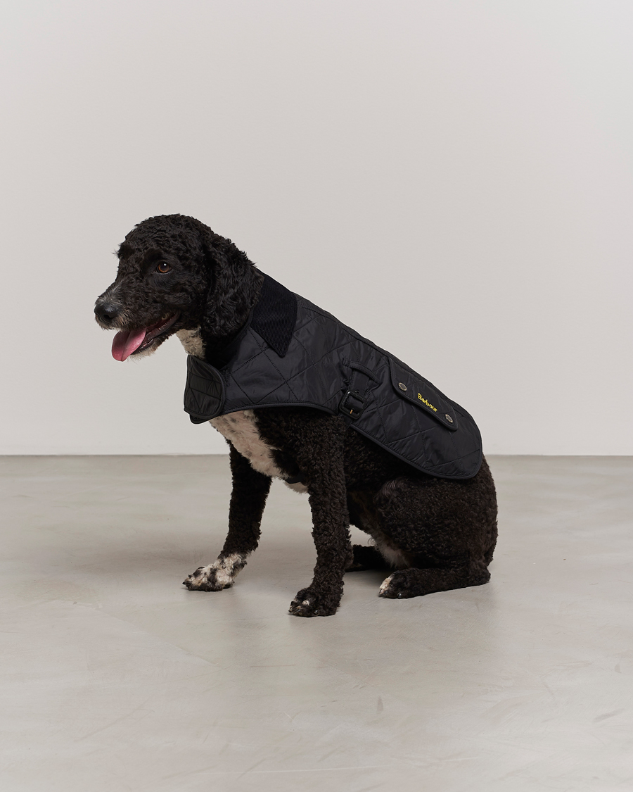 Herr | Barbour International Polar Dog Coat Black | Barbour International | Polar Dog Coat Black