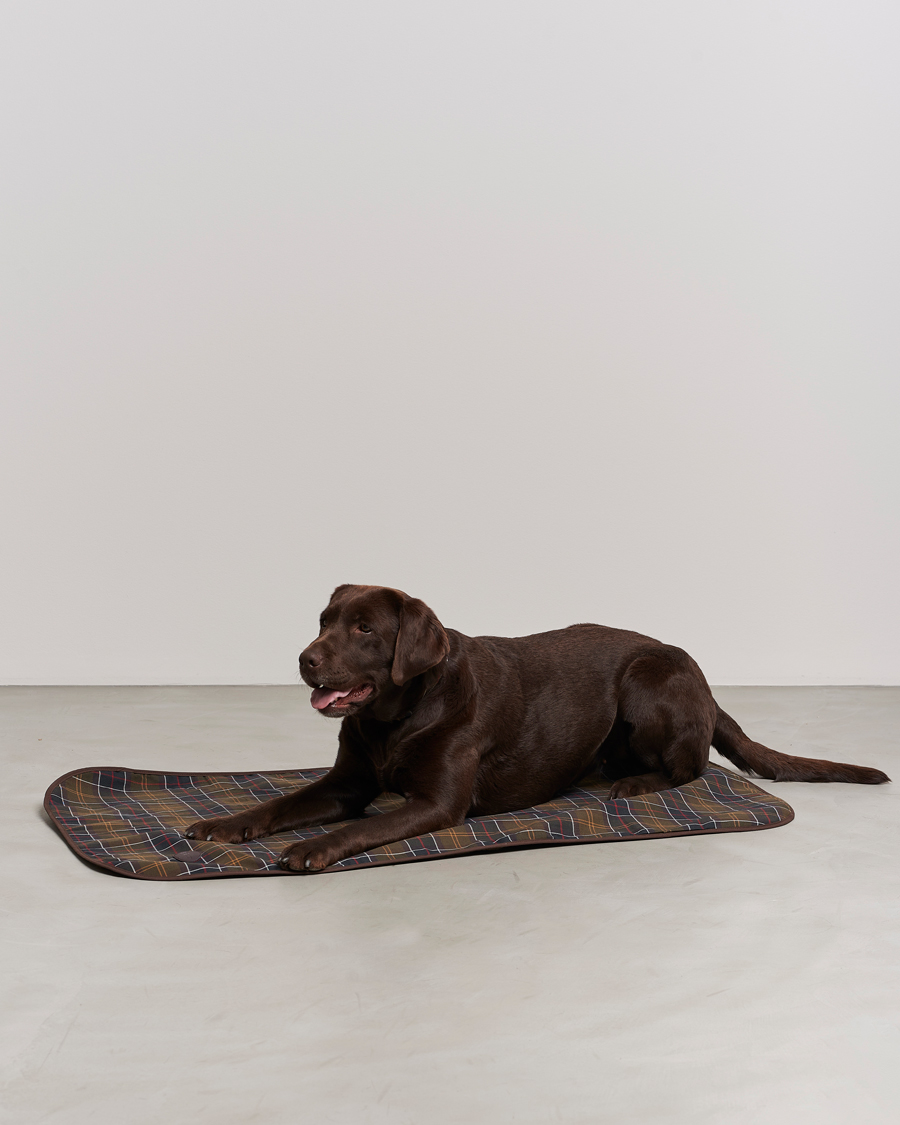 Herr | Till hunden | Barbour Heritage | Dog Blanket Classic/Brown
