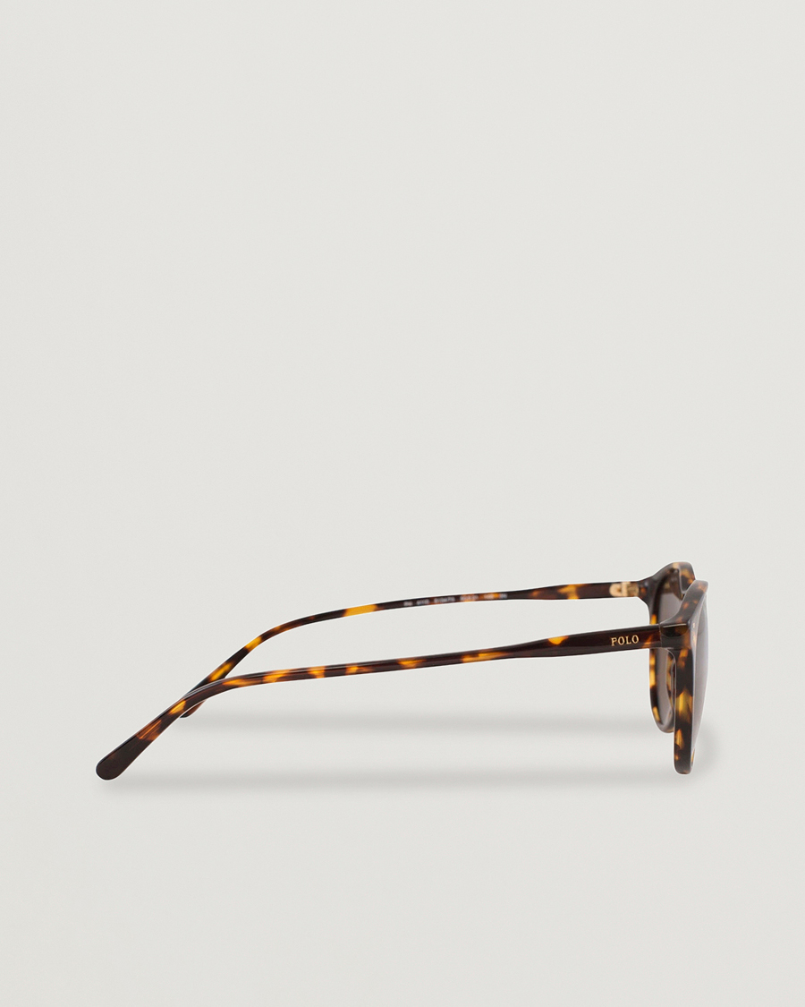 Herr | Solglasögon | Polo Ralph Lauren | 0PH4110 Round Sunglasses Havana