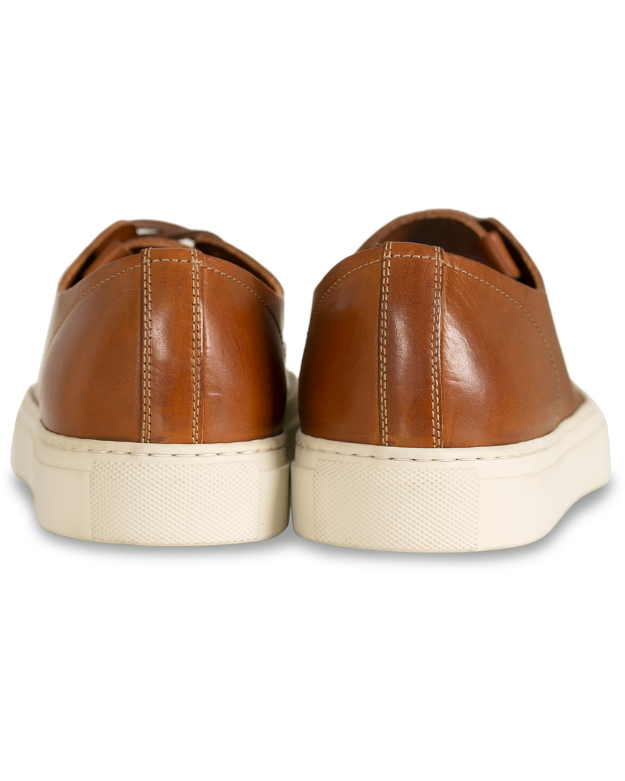 Herr | Buttero Calf Sneaker Congac | Buttero | Calf Sneaker Congac