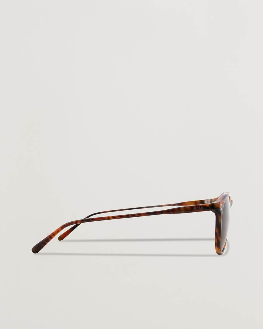 Herr | Solglasögon | Polo Ralph Lauren | 0PH4110 Sunglasses Havana