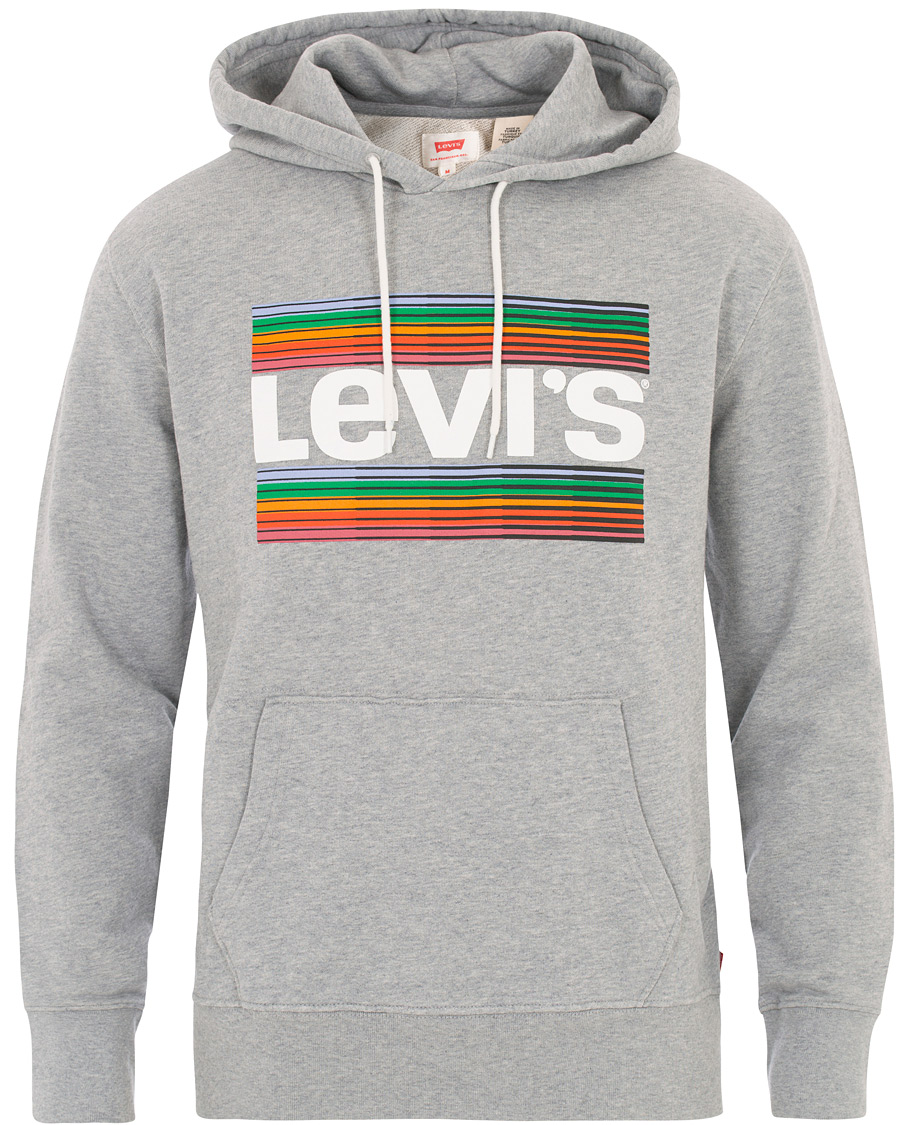 Herr | Tröjor | Levi's | Graphic Hoodie Grey