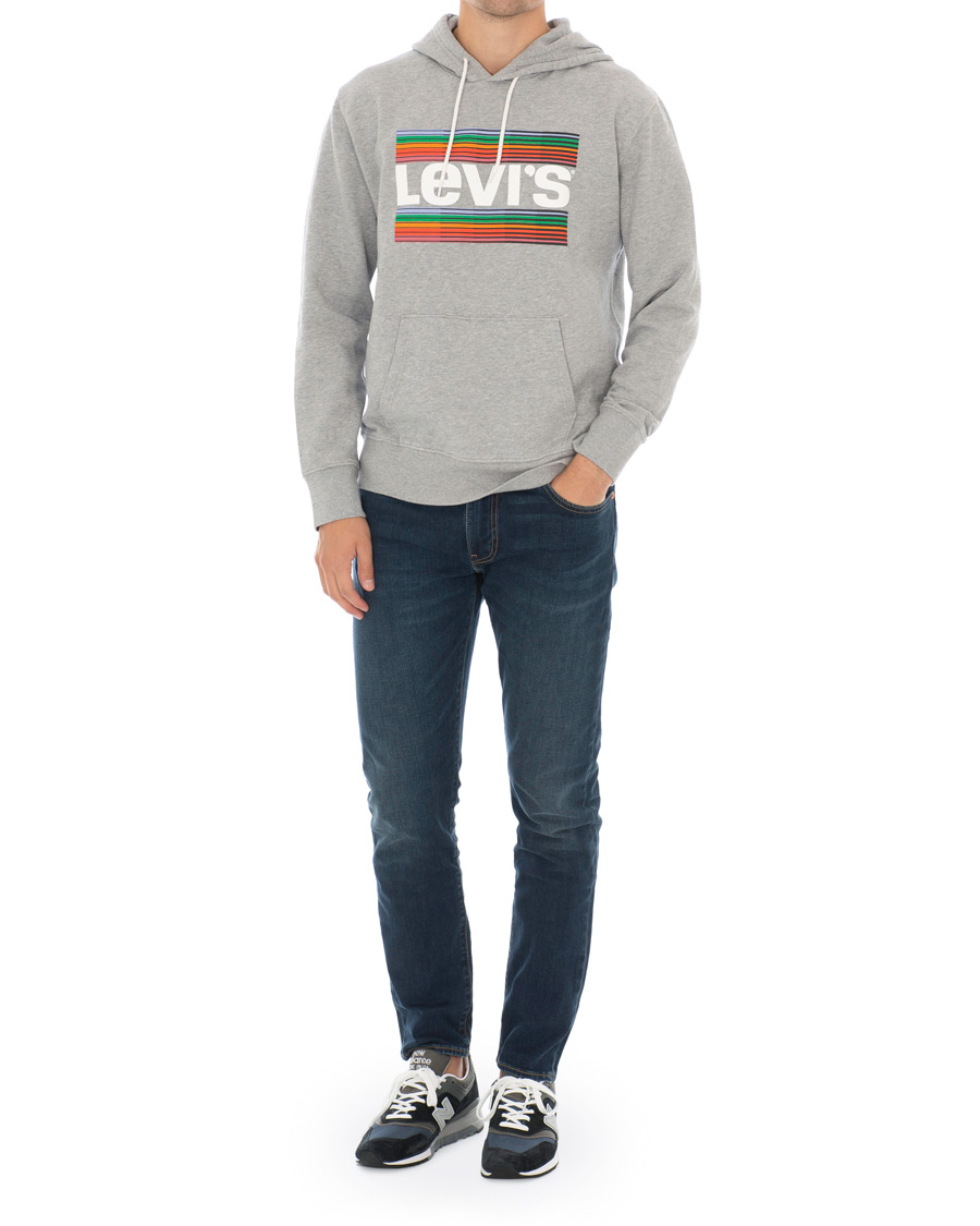 Herr | Tröjor | Levi's | Graphic Hoodie Grey