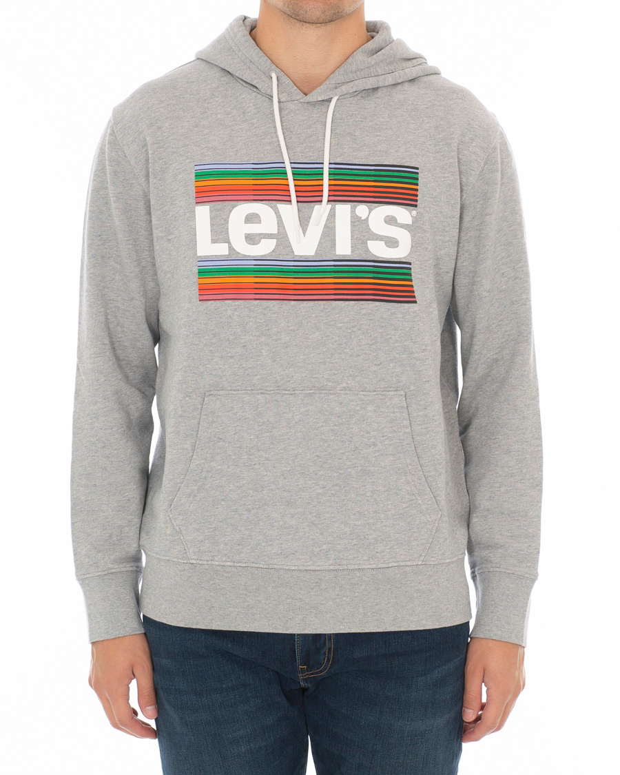 Herr | Tröjor | Levi's | Graphic Hoodie Grey