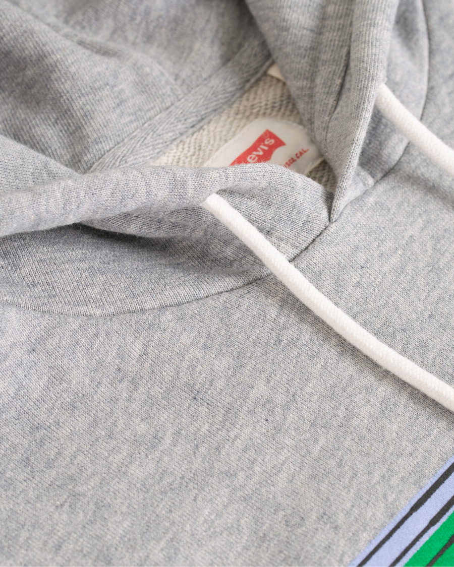 Herr | Tröjor | Levi's | Graphic Hoodie Grey