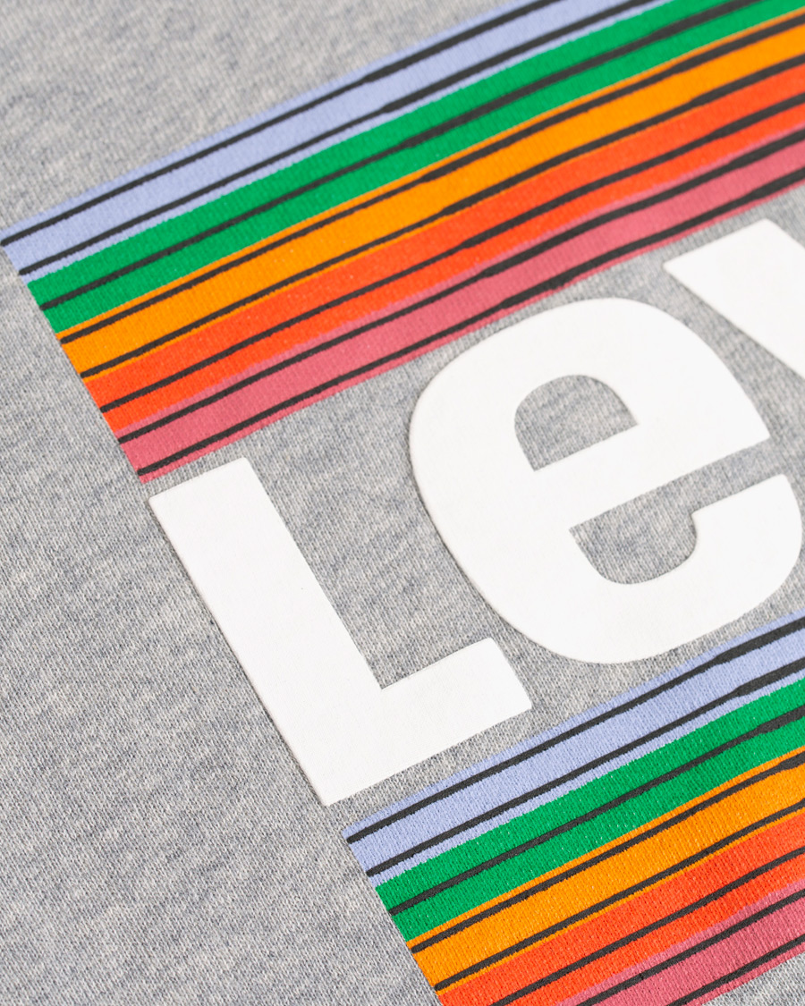 Herr | Tröjor | Levi's | Graphic Hoodie Grey