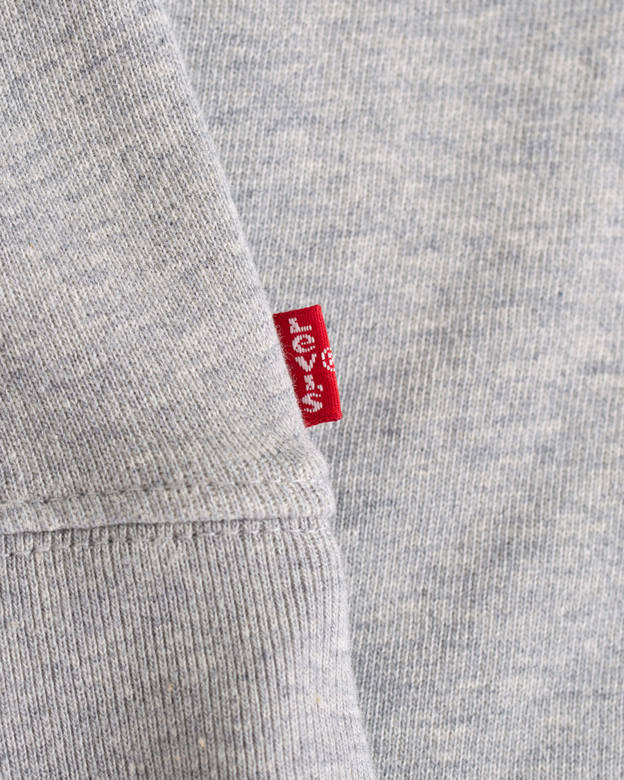 Herr | Tröjor | Levi's | Graphic Hoodie Grey