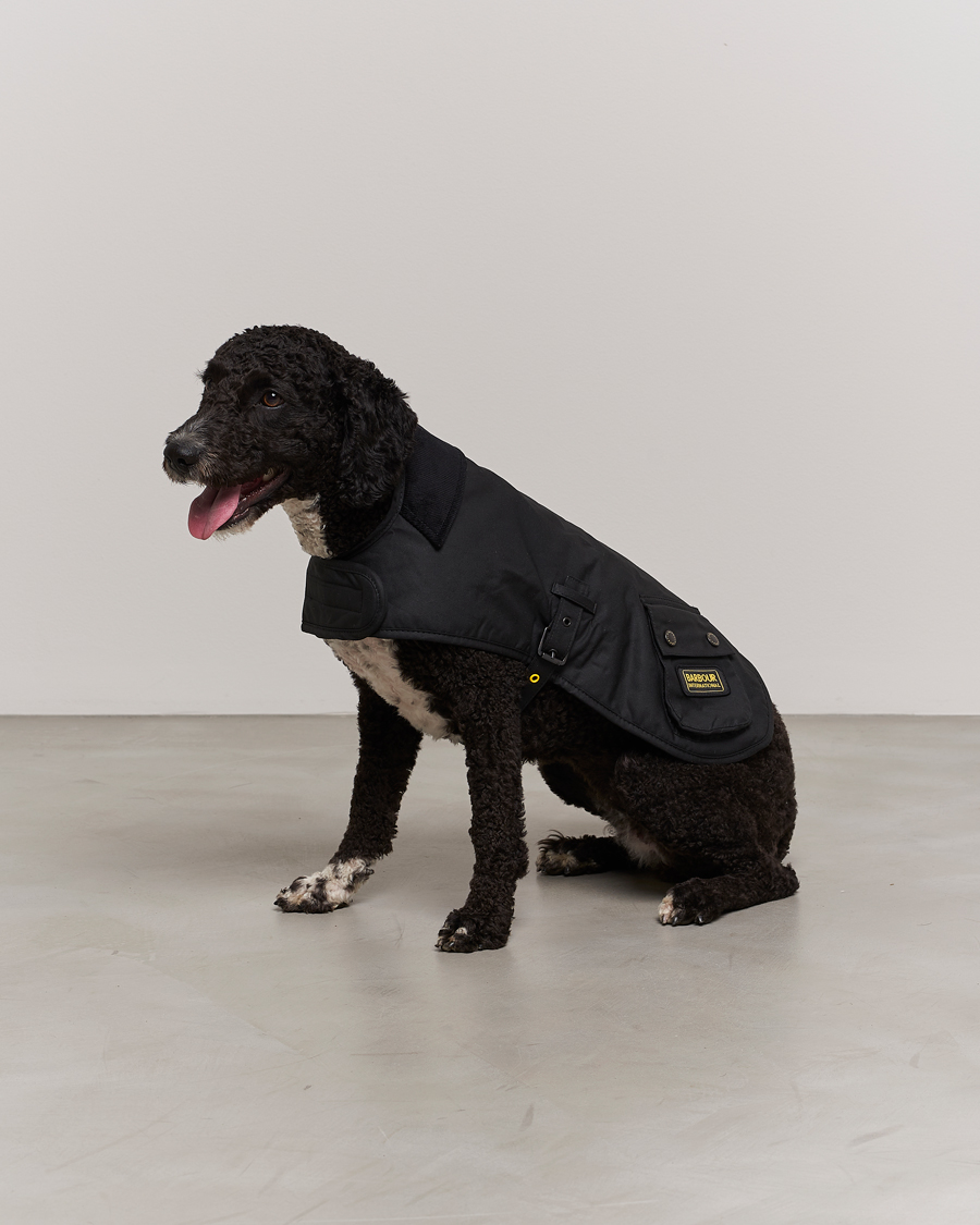 Herr |  | Barbour International | Dog Coat Black
