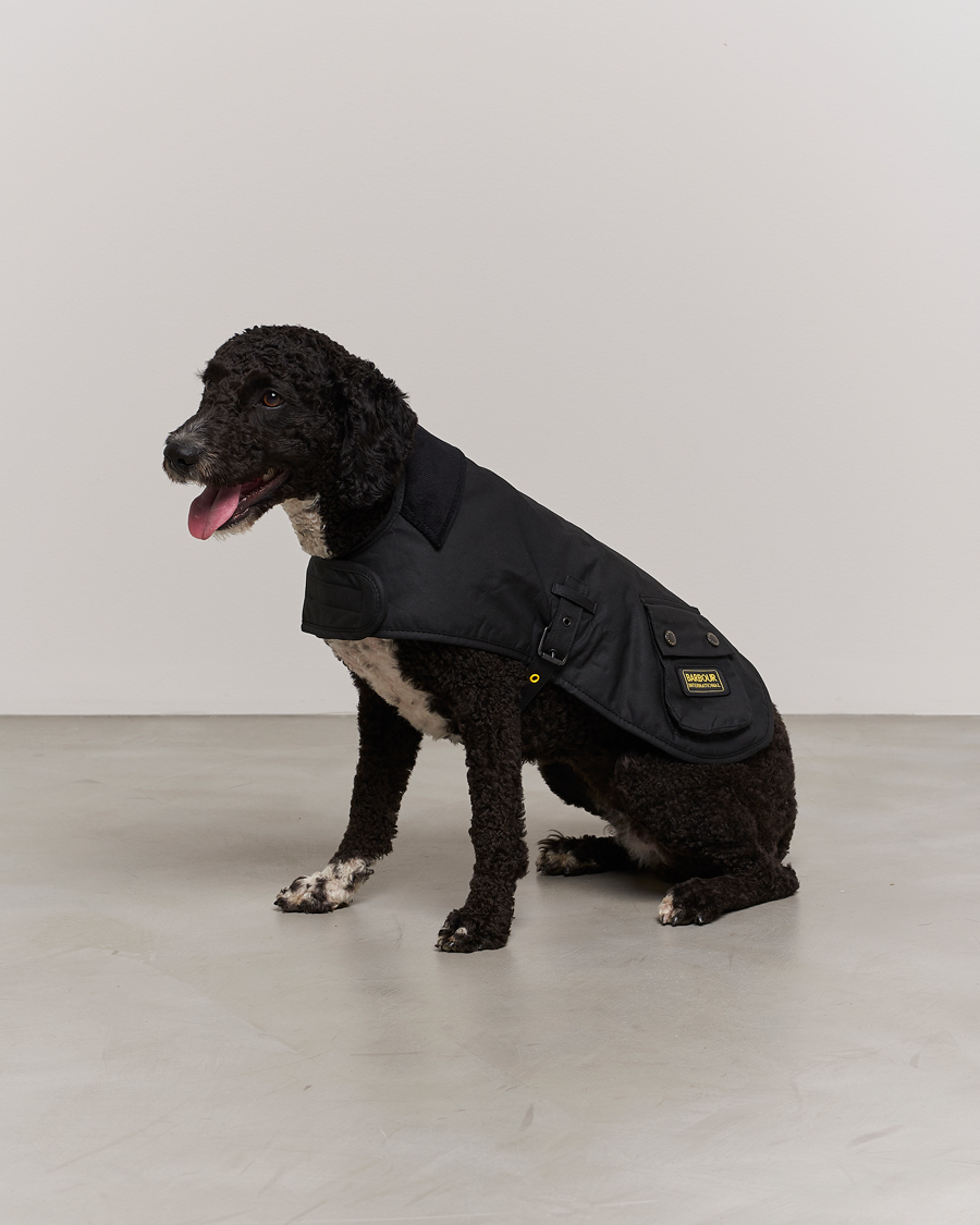 Herr | Avdelningar | Barbour International | Dog Coat Black