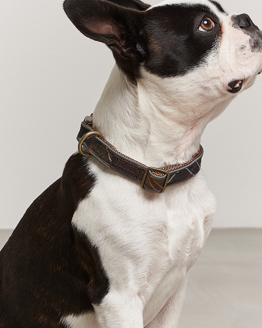 Herr | Barbour International Reflective Tartan Dog Collar Classic | Barbour International | Reflective Tartan Dog Collar Classic