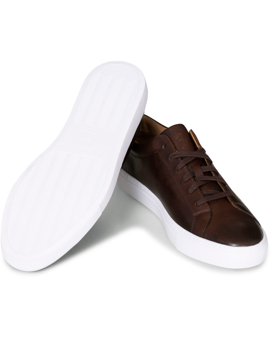 Herr | Polo Ralph Lauren Jermain II Sneaker Brown | Polo Ralph Lauren | Jermain II Sneaker Brown