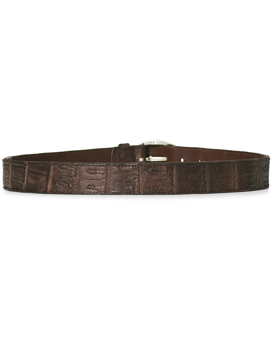 Herr | Orciani Crocodile Belt 3,5 cm Dark Brown | Orciani | Crocodile Belt 3,5 cm Dark Brown