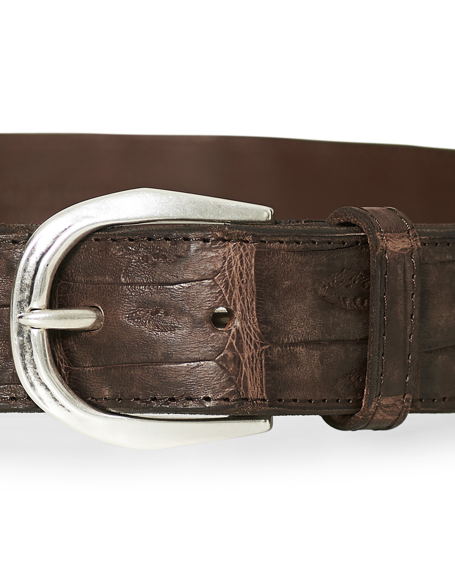 Herr | Orciani Crocodile Belt 3,5 cm Dark Brown | Orciani | Crocodile Belt 3,5 cm Dark Brown