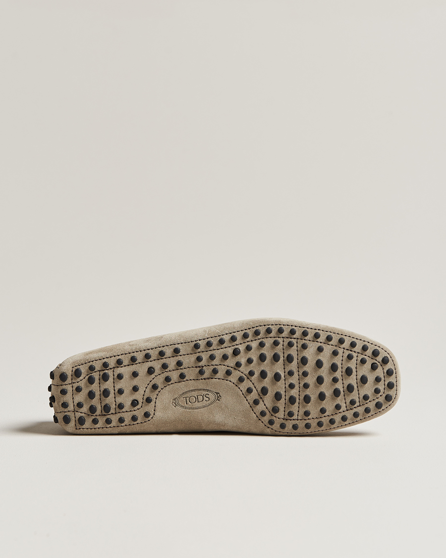 Herr | Tod's Lacetto Gommino Carshoe Taupe Suede | Tod's | Lacetto Gommino Carshoe Taupe Suede