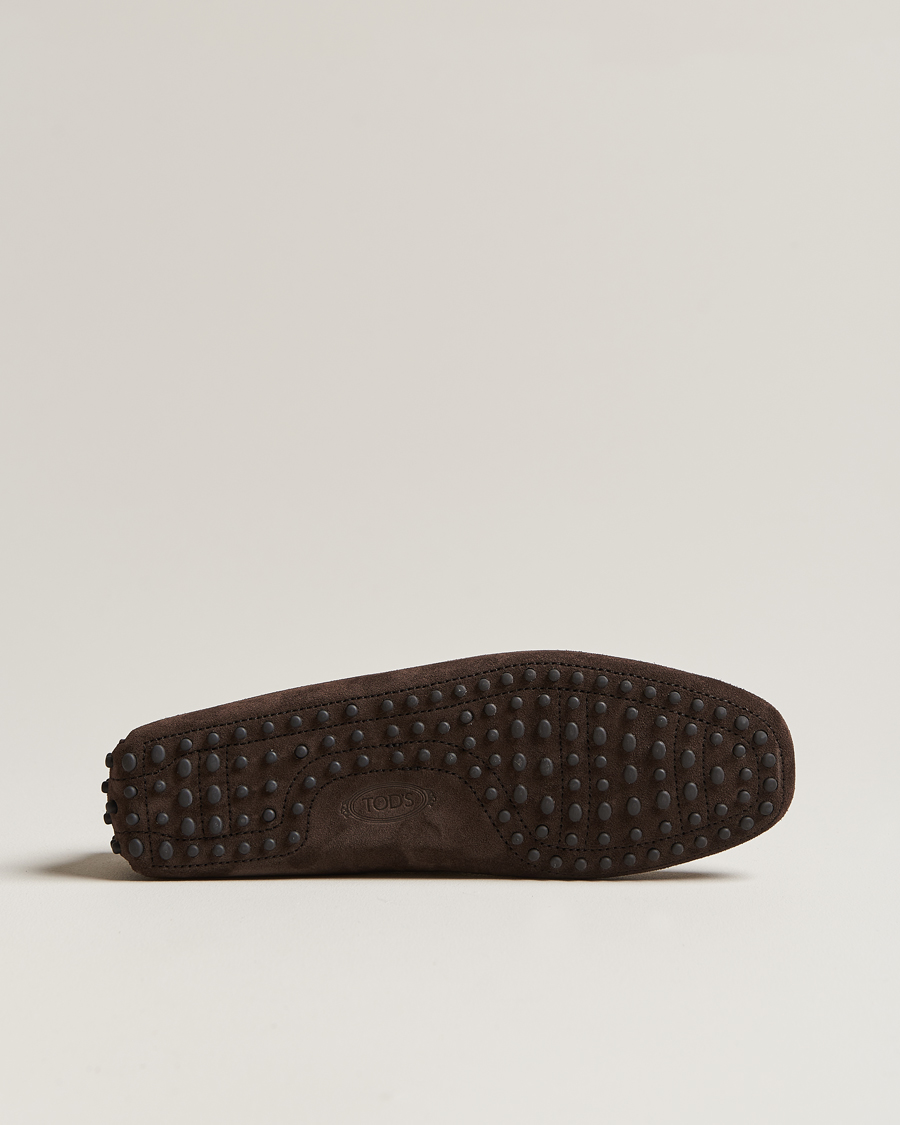 Herr | Tod's Lacetto Gommino Carshoe Dark Brown Suede | Tod's | Lacetto Gommino Carshoe Dark Brown Suede