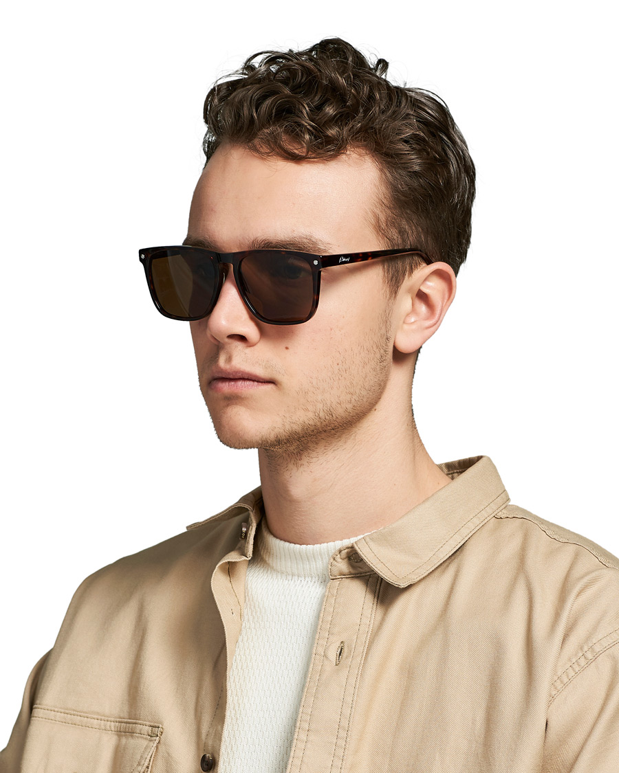Herr | D-formade solglasögon | Brioni | BR0086S Sunglasses Havana/Brown