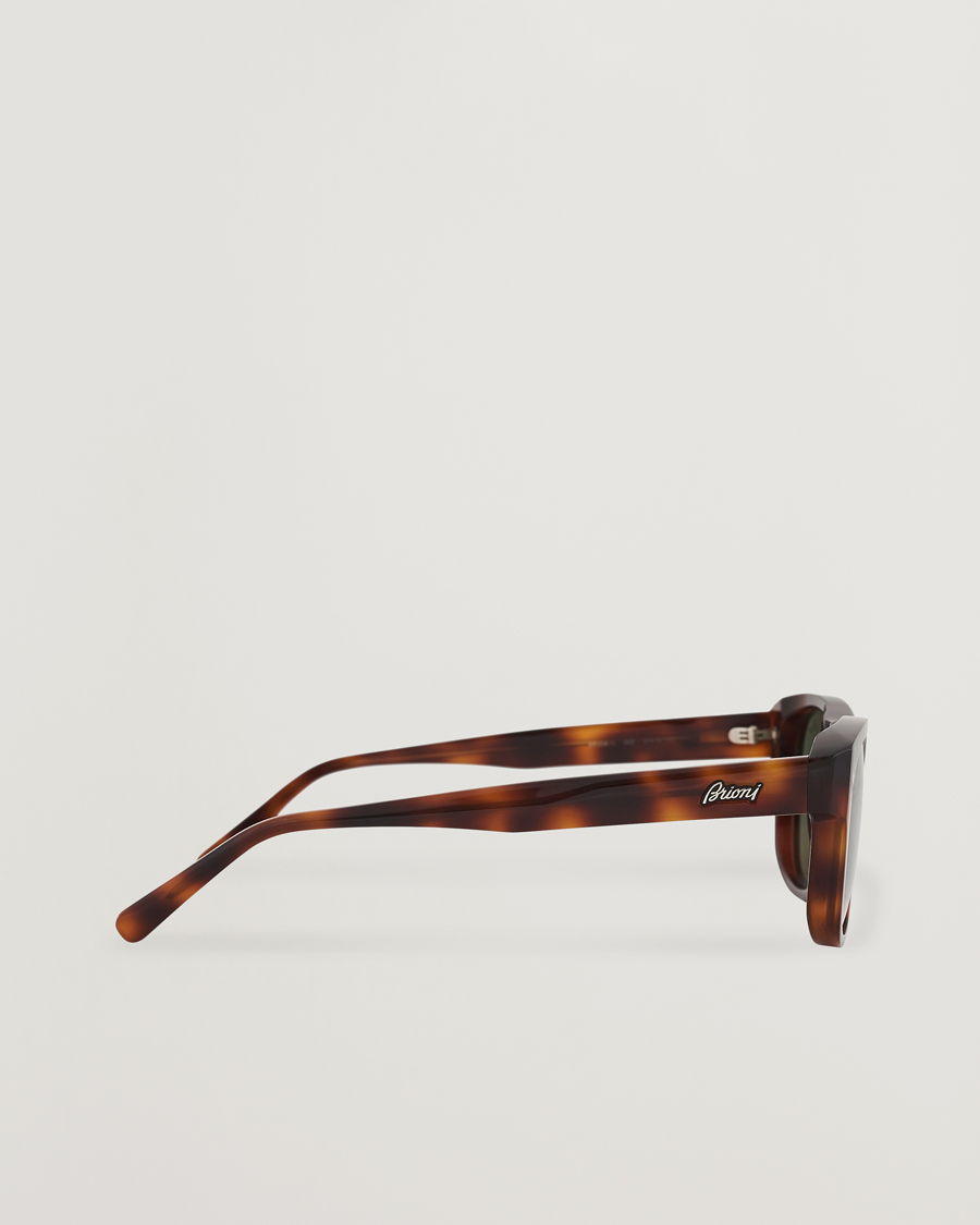 Herr | Brioni BR0081S Sunglasses Havana/Green | Brioni | BR0081S Sunglasses Havana/Green