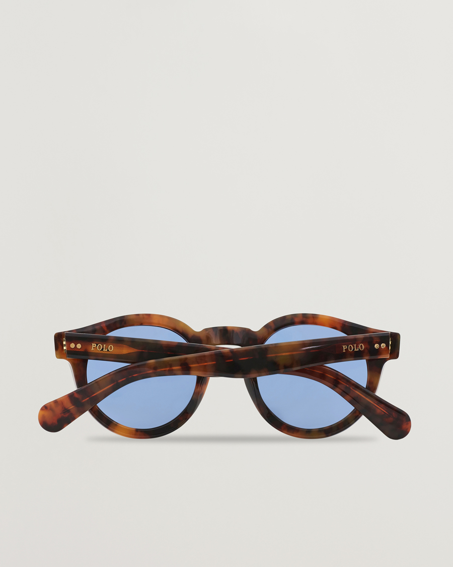Herr | Polo Ralph Lauren PH4165 Sunglasses Havana/Blue | Polo Ralph Lauren | PH4165 Sunglasses Havana/Blue