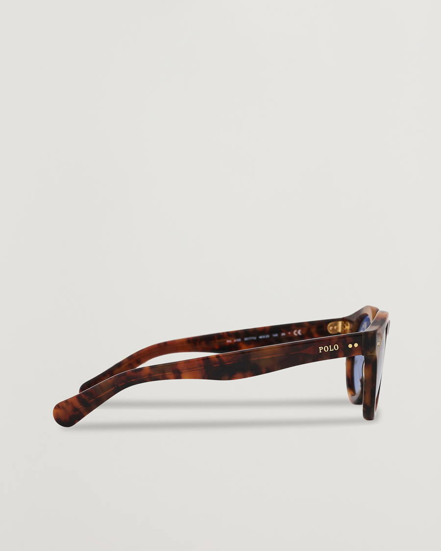 Herr | Polo Ralph Lauren PH4165 Sunglasses Havana/Blue | Polo Ralph Lauren | PH4165 Sunglasses Havana/Blue