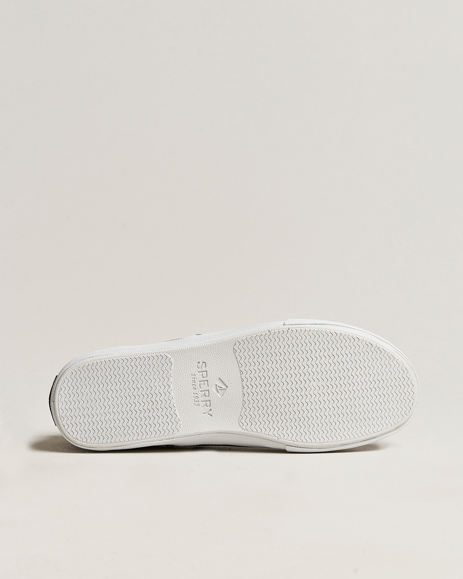 Herr | Sperry Striper II Canvas Sneaker Grey | Sperry | Striper II Canvas Sneaker Grey