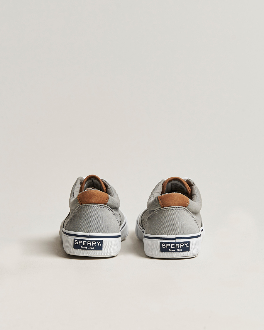 Herr | Sperry Striper II Canvas Sneaker Grey | Sperry | Striper II Canvas Sneaker Grey