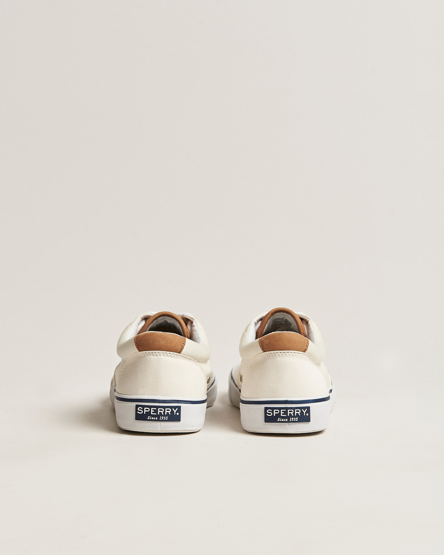 Herr | Sperry Striper II Canvas Sneaker White | Sperry | Striper II Canvas Sneaker White