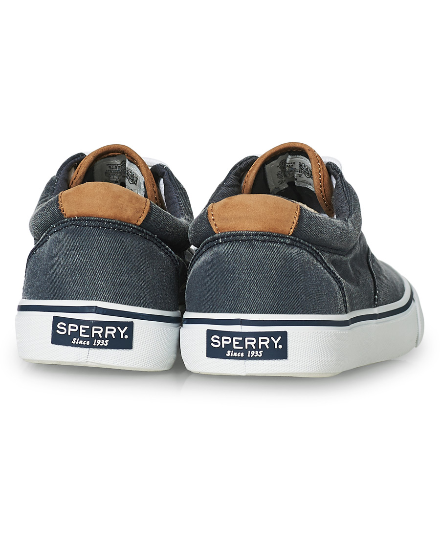Herr | Sperry Striper II Canvas Sneaker Dark Navy | Sperry | Striper II Canvas Sneaker Dark Navy