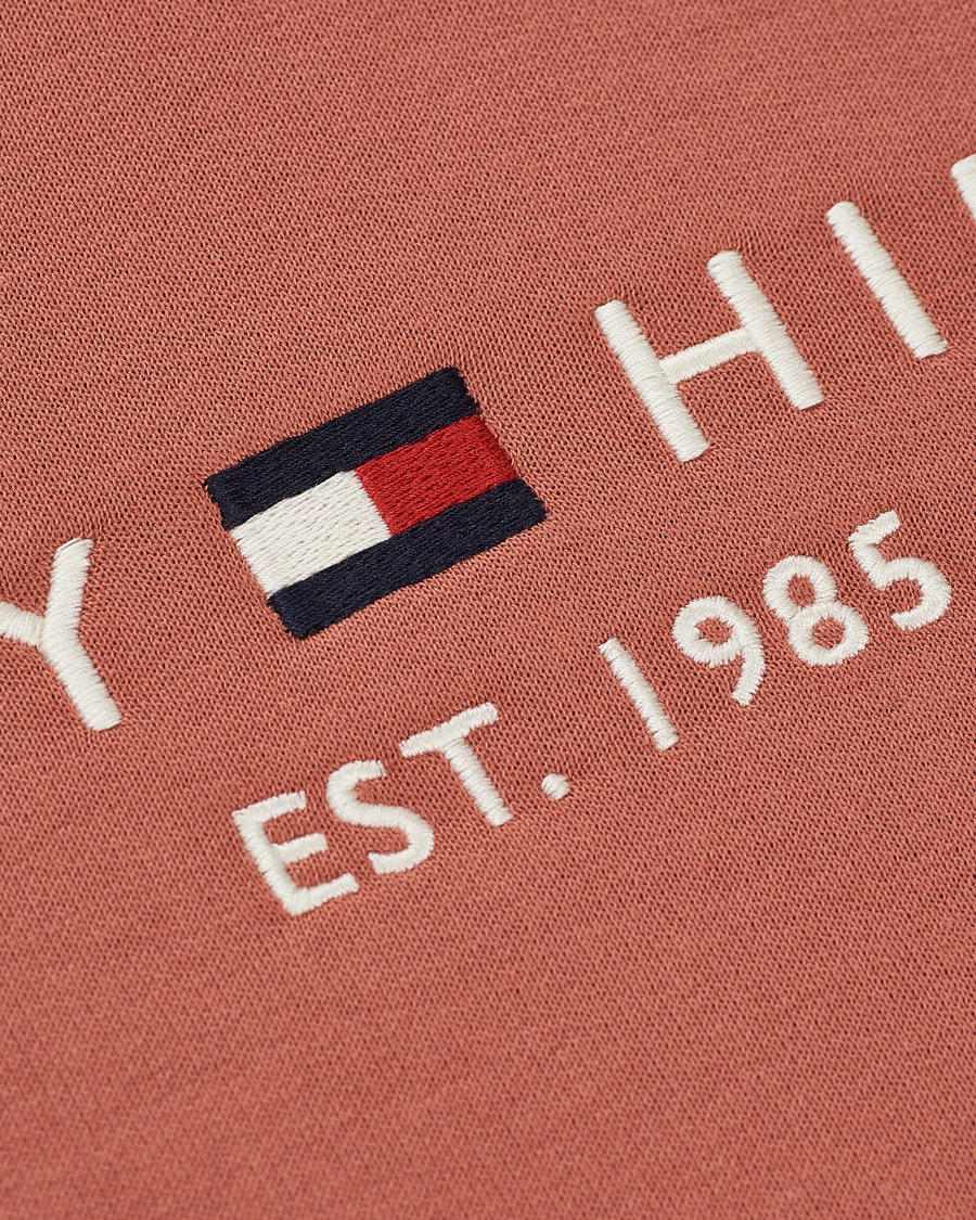 Herr | Tröjor | Tommy Hilfiger | Logo Hoodie Mineralize