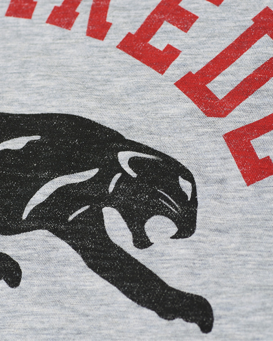 Herr | T-Shirts | Dsquared2 | Tiger Tee Grey Heather