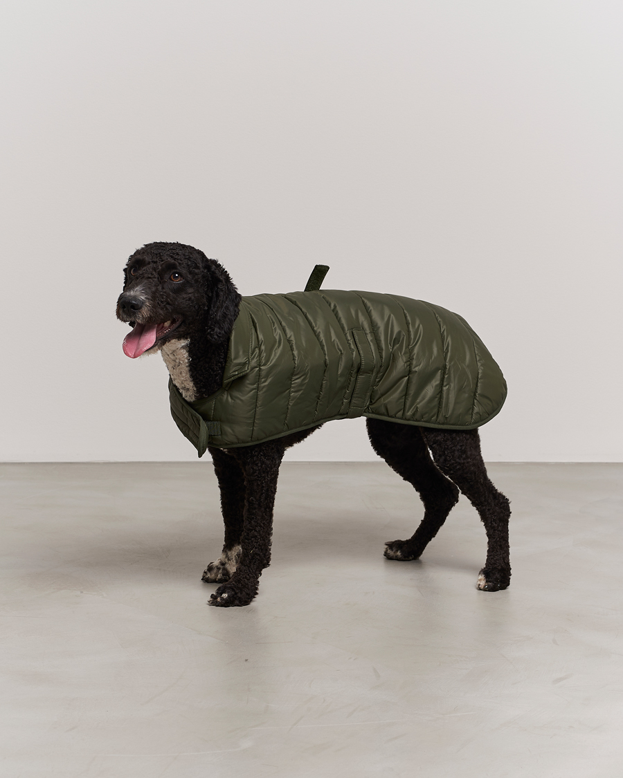 Herr | Livsstil | Barbour Lifestyle | Baffle Quilt Dog Coat Olive