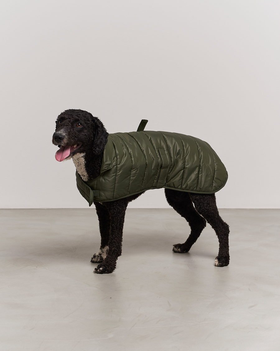 Herr | Barbour Lifestyle Baffle Quilt Dog Coat Olive | Barbour Lifestyle | Baffle Quilt Dog Coat Olive