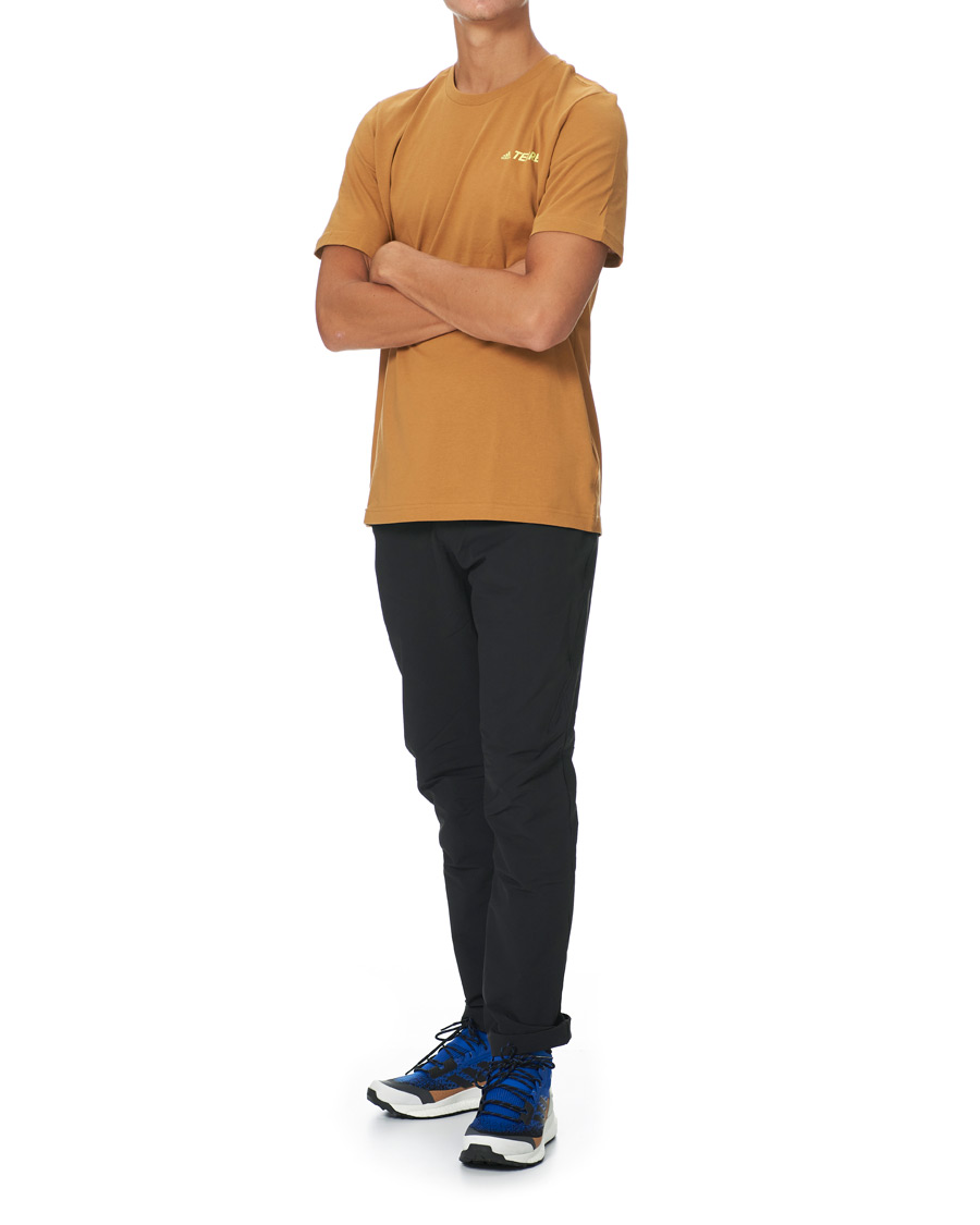Herr | T-Shirts | adidas Performance | Terrex MT Tee Mesa