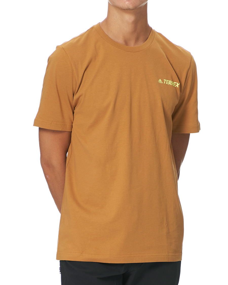 Herr | T-Shirts | adidas Performance | Terrex MT Tee Mesa