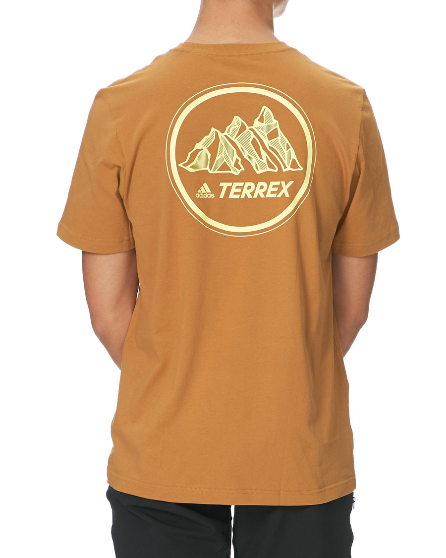 Herr | T-Shirts | adidas Performance | Terrex MT Tee Mesa