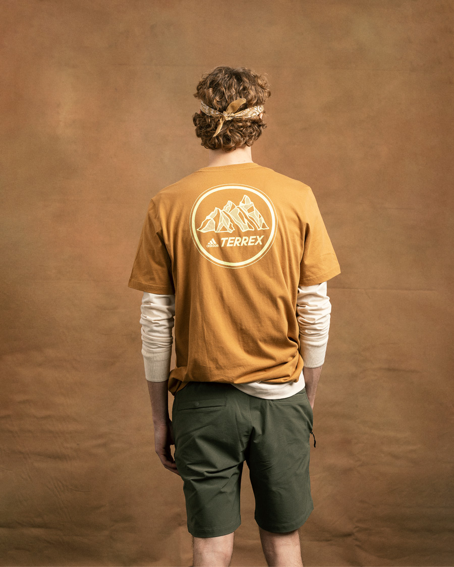 Herr | T-Shirts | adidas Performance | Terrex MT Tee Mesa