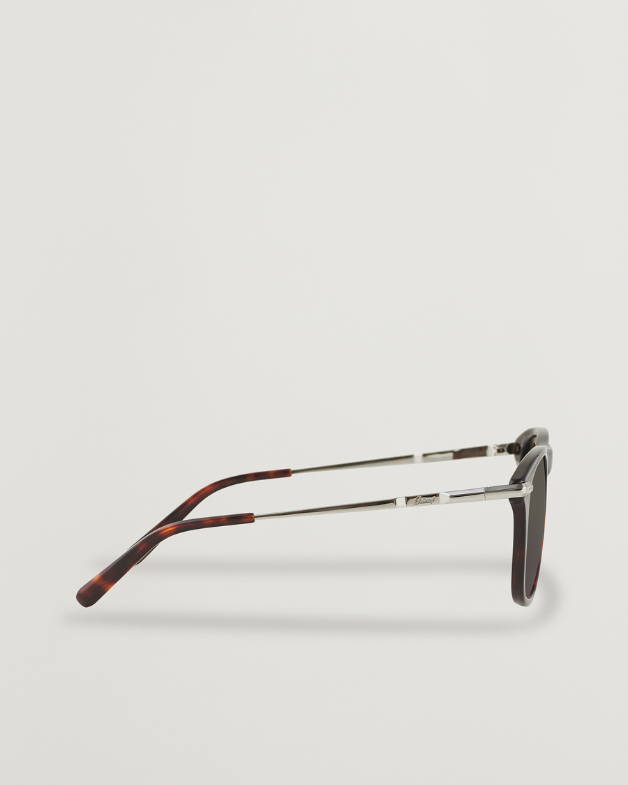 Herr | Brioni BR0094S Sunglasses Havana Brown | Brioni | BR0094S Sunglasses Havana Brown