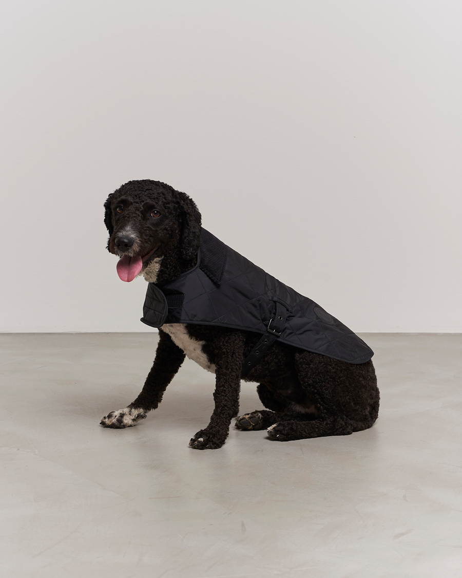 Herr | Barbour Lifestyle Quilted Dog Coat Black | Barbour Lifestyle | Quilted Dog Coat Black