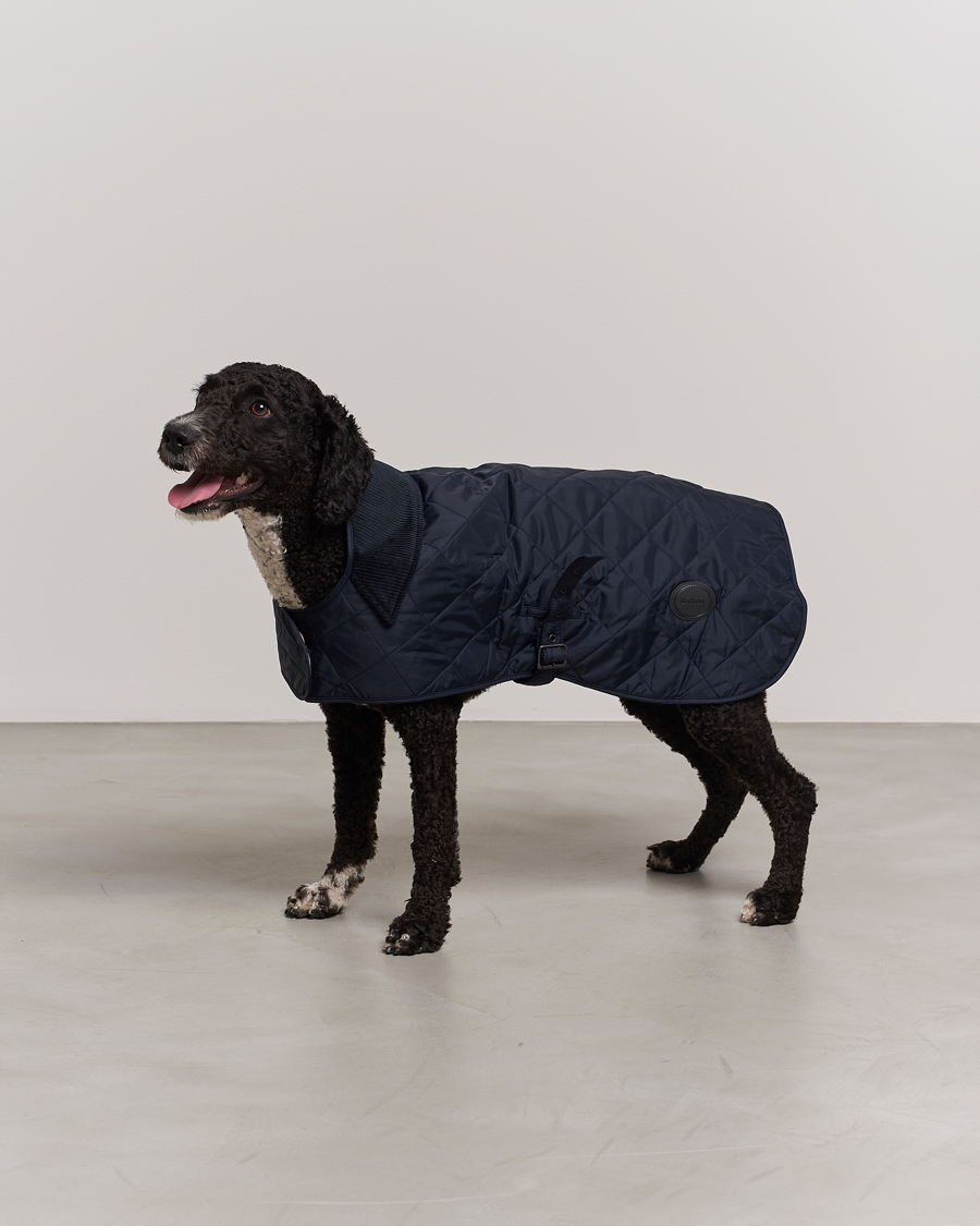 Herr | Barbour Lifestyle Quilted Dog Coat Navy | Barbour Lifestyle | Quilted Dog Coat Navy