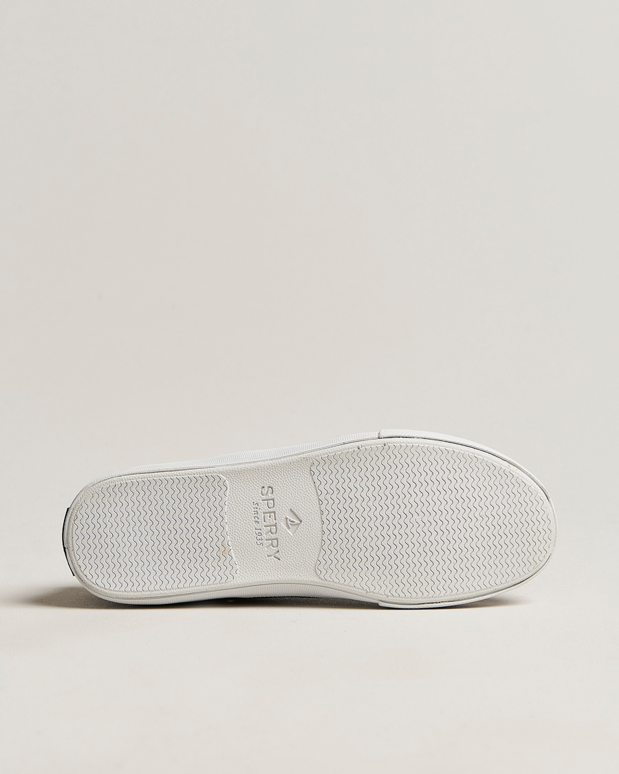 Herr | Sperry Striper II Canvas Sneaker Whased Black | Sperry | Striper II Canvas Sneaker Whased Black