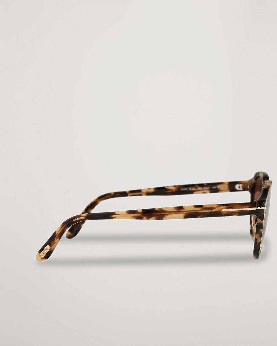 Herr | Tom Ford Avery Sunglasses Havana/Bordeaux | Tom Ford | Avery Sunglasses Havana/Bordeaux