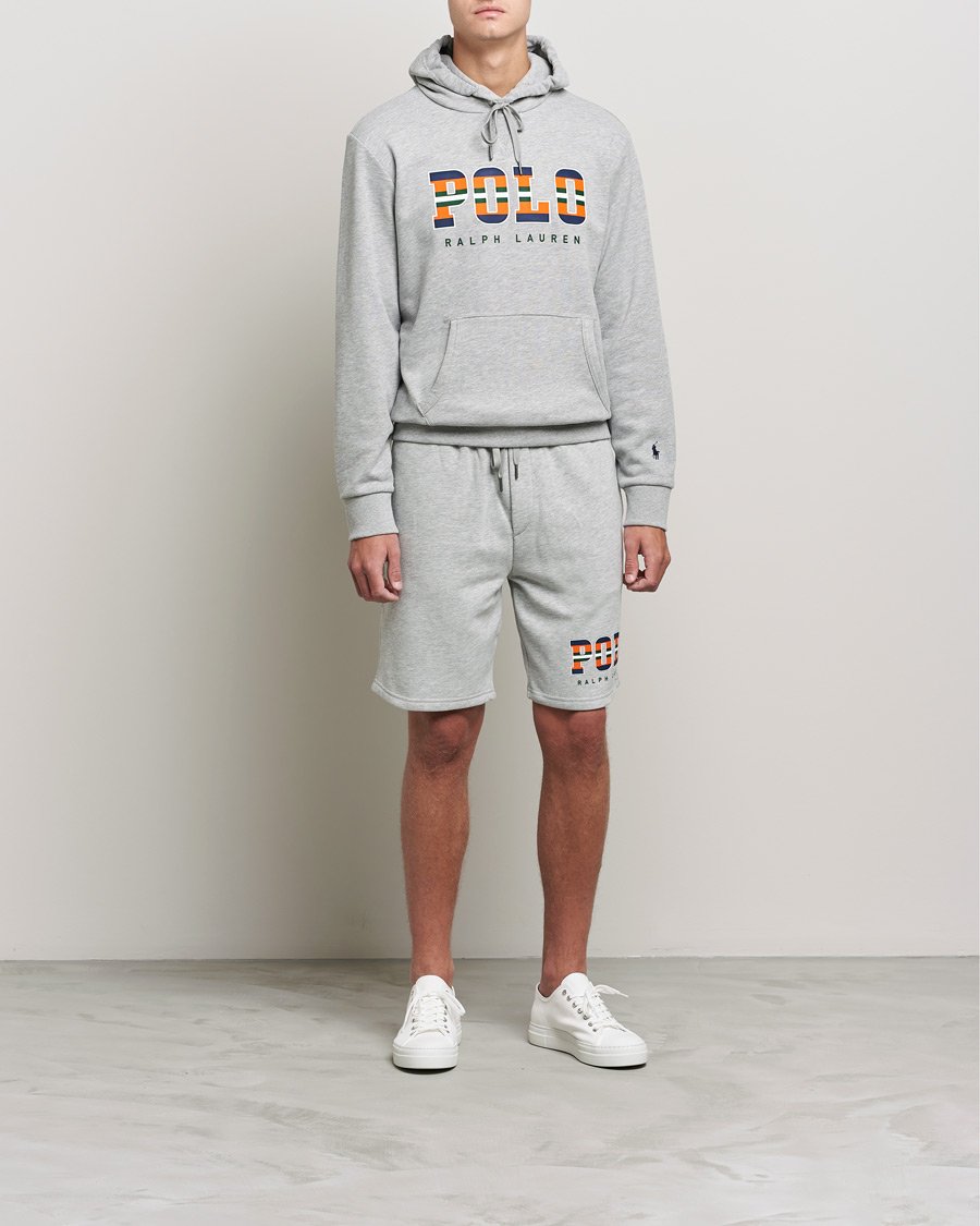 Herr | Tröjor | Polo Ralph Lauren | Fleece Retro Logo Hoodie Andover Heather
