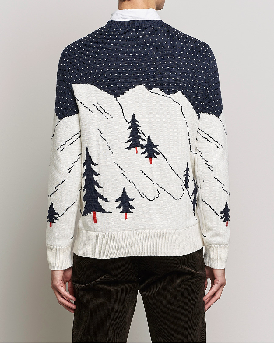 Herr | Tröjor | Polo Ralph Lauren | Cotton Ski Knitted Sweater Navy Multi