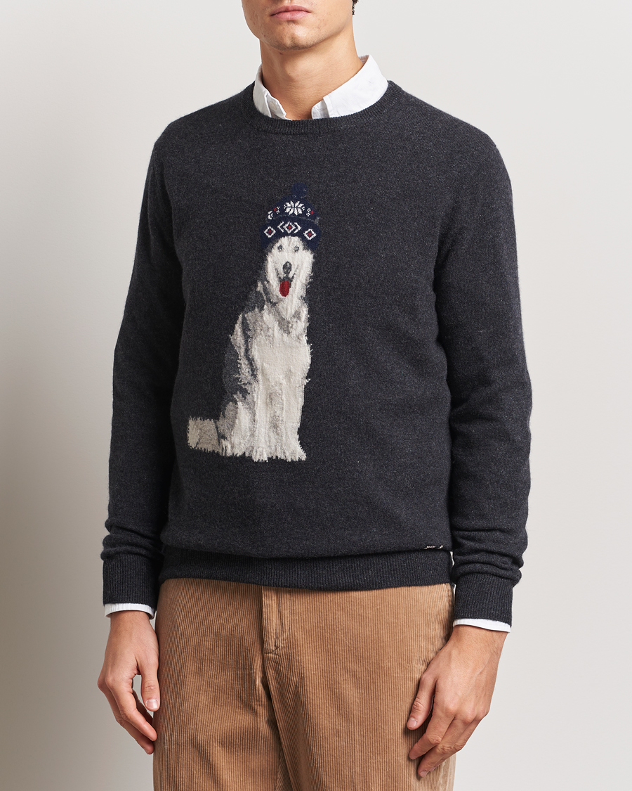 Herr | Tröjor | Polo Ralph Lauren | Holiday Dog Cashmere Sweater Dark Granite Heather