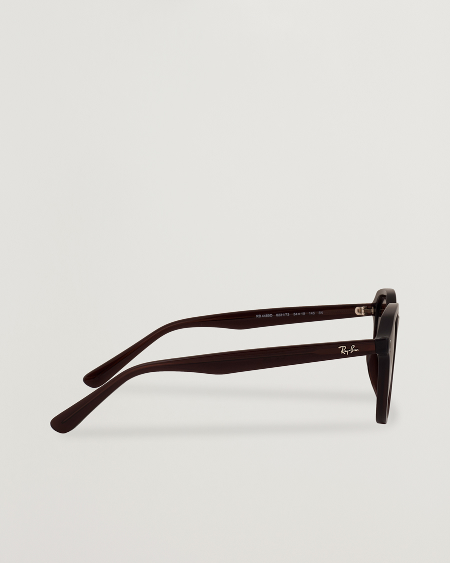 Herr | Solglasögon | Ray-Ban | 0RB4459D Sunglasses Opal Brown